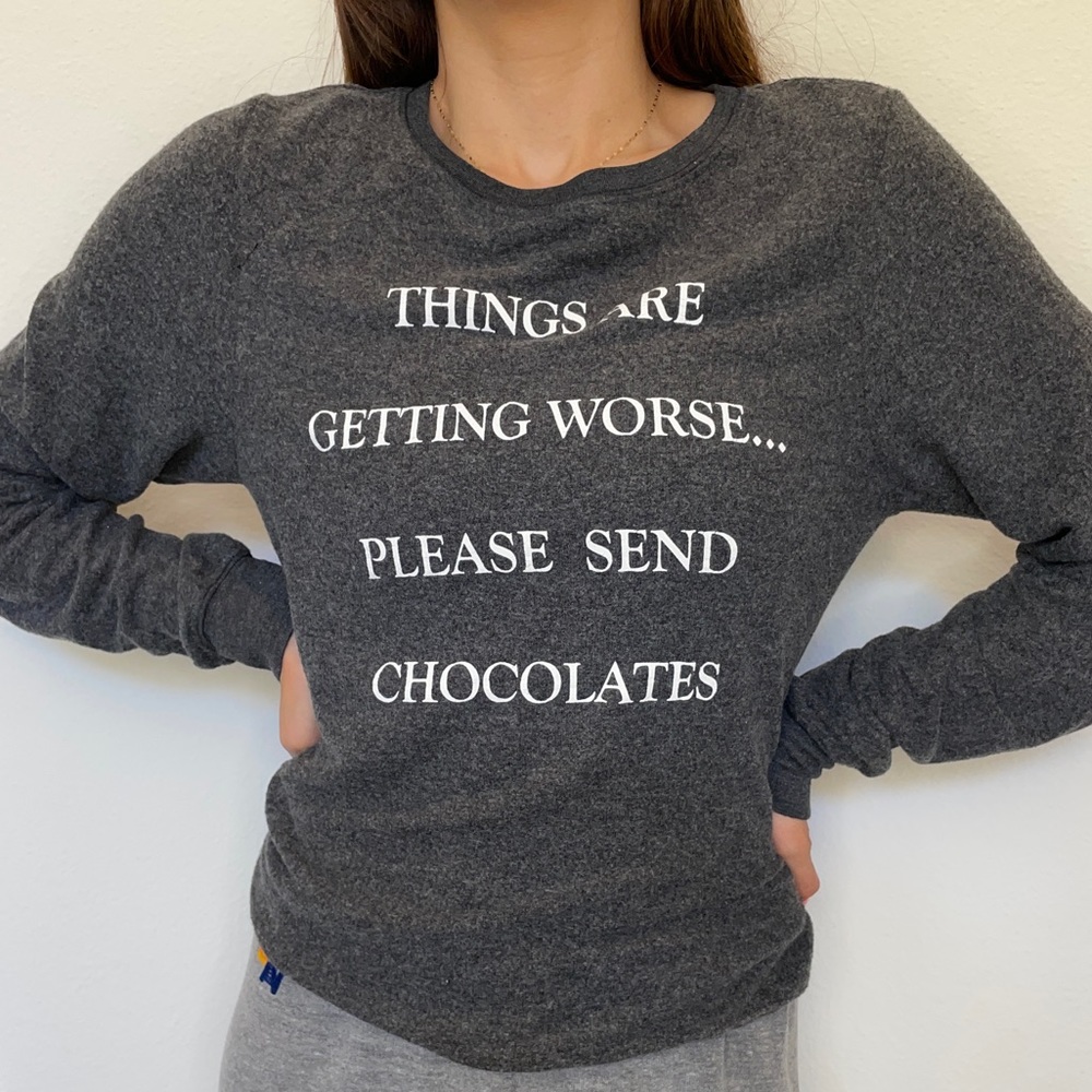 NWOT WILDFOX Gray Pullover - Size XS